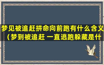 梦见被追赶拼命向前跑有什么含义（梦到被追赶 一直逃跑躲藏是什么意思）